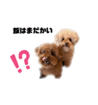まるちゃんと愉快な仲間たち1（個別スタンプ：8）