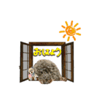 トイプー ラン君（個別スタンプ：2）