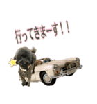 トイプー ラン君（個別スタンプ：4）