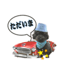 トイプー ラン君（個別スタンプ：29）