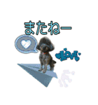トイプー ラン君（個別スタンプ：39）