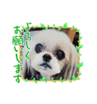 うずれいちゃん（個別スタンプ：3）