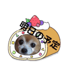 うずれいちゃん（個別スタンプ：7）