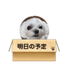 うずれいちゃん（個別スタンプ：8）