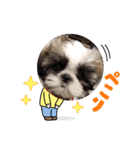 うずれいちゃん（個別スタンプ：11）