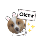 うずれいちゃん（個別スタンプ：13）