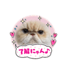 うずれいちゃん（個別スタンプ：14）