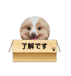 うずれいちゃん（個別スタンプ：15）