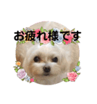 うずれいちゃん（個別スタンプ：17）
