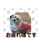 うずれいちゃん（個別スタンプ：18）