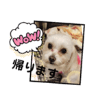 うずれいちゃん（個別スタンプ：21）