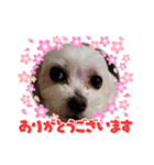 うずれいちゃん（個別スタンプ：23）