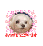 うずれいちゃん（個別スタンプ：24）