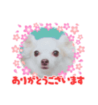 うずれいちゃん（個別スタンプ：25）