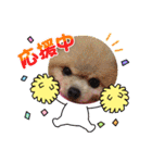 うずれいちゃん（個別スタンプ：27）