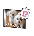 うずれいちゃん（個別スタンプ：38）