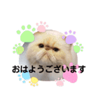 うずれいちゃん（個別スタンプ：40）