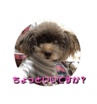 死んでもやだね（個別スタンプ：1）