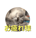 死んでもやだね（個別スタンプ：2）