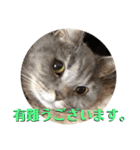死んでもやだね（個別スタンプ：3）