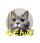 死んでもやだね（個別スタンプ：7）
