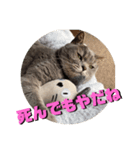 死んでもやだね（個別スタンプ：8）