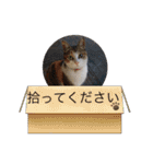Mmmy Famm（個別スタンプ：2）