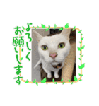 Mmmy Famm（個別スタンプ：3）