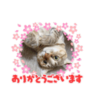 Mmmy Famm（個別スタンプ：4）