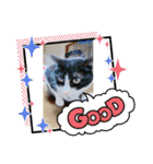 Mmmy Famm（個別スタンプ：5）