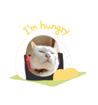 Mmmy Famm（個別スタンプ：8）