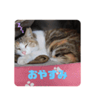 Mmmy Famm（個別スタンプ：12）