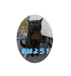 Mmmy Famm（個別スタンプ：13）