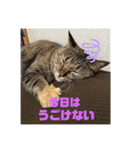 Mmmy Famm（個別スタンプ：16）