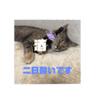 Mmmy Famm（個別スタンプ：22）