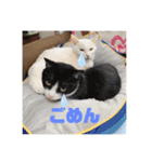 Mmmy Famm（個別スタンプ：27）