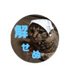 Mmmy Famm（個別スタンプ：30）