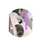 Mmmy Famm（個別スタンプ：38）