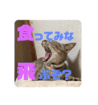 Mmmy Famm（個別スタンプ：39）