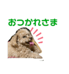 ふうとるう①（個別スタンプ：2）