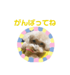 ふうとるう①（個別スタンプ：9）