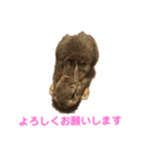 チャロむすびの 使える！日常スタンプ（個別スタンプ：5）