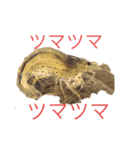 チャロむすびの 使える！日常スタンプ（個別スタンプ：24）