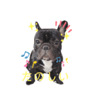 フレブルのムサシくん（個別スタンプ：2）