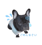 フレブルのムサシくん（個別スタンプ：9）