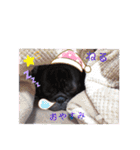 フレブルのムサシくん（個別スタンプ：13）