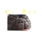 フレブルのムサシくん（個別スタンプ：20）