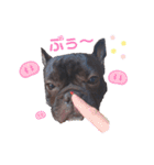 フレブルのムサシくん（個別スタンプ：23）