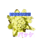 奥尻シリーズ（個別スタンプ：1）