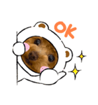 くまのらぐび（個別スタンプ：4）